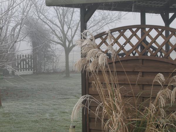 Nebel u.Frost