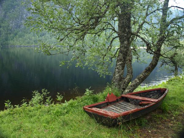 Einsames Boot am stillen Fjord