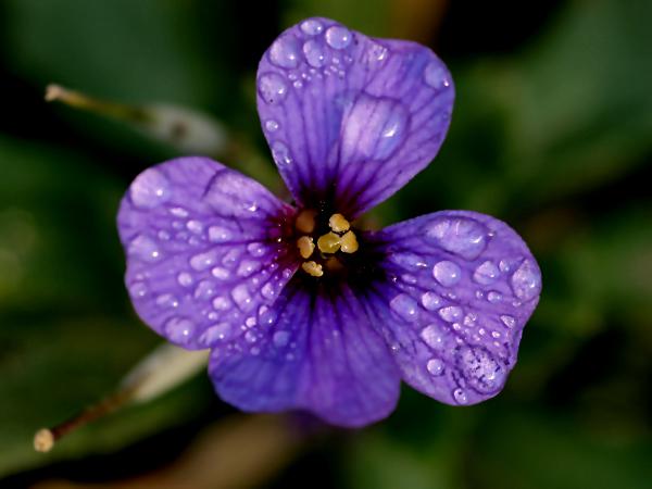 wassertropfen statt eis