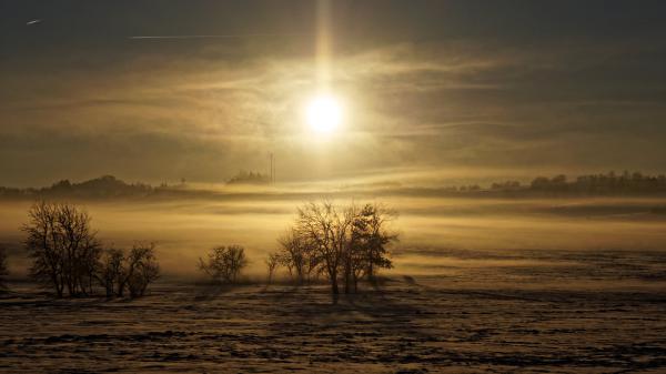 Winterlandschaft Nebel & Abendsonne