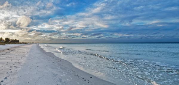 Fisheye Beach View