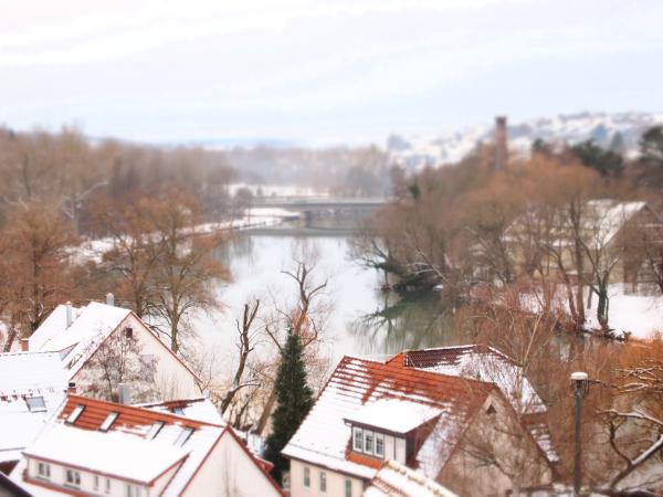 Der Neckarblick