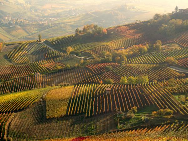 Das Piemont mit seinen Weinbergen im Herbst