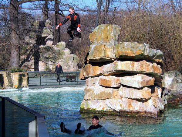 Anbaden im März im Zoo Berlin