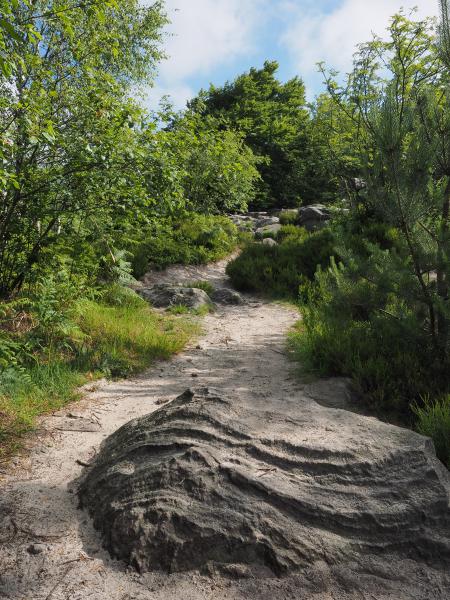 Steine, die im Weg liegen, ...