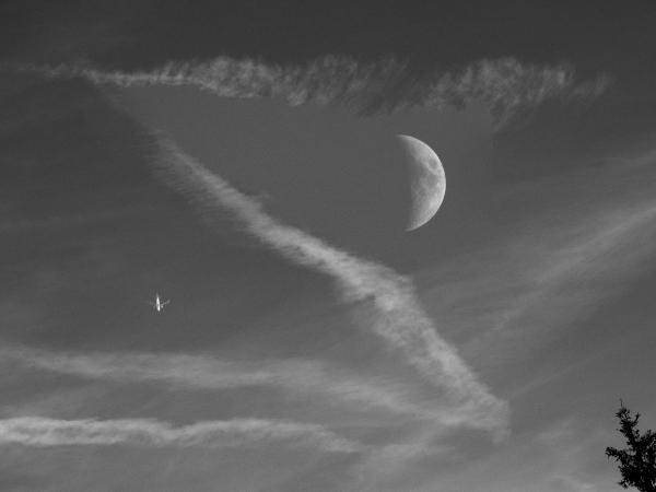 Ferienflieger mit Mond