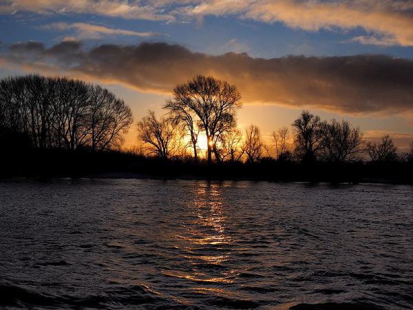 Sonnenaufgang  am  Rhein