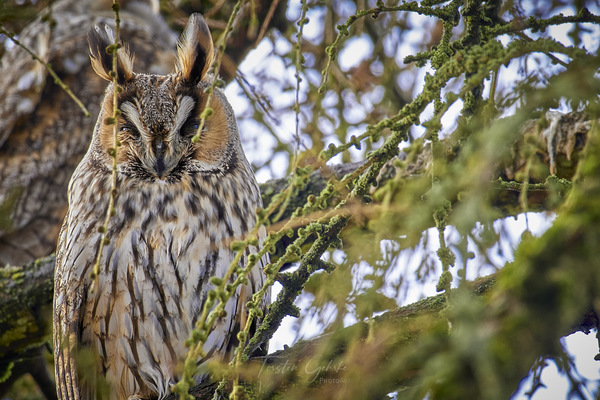 Was Guckst du?!