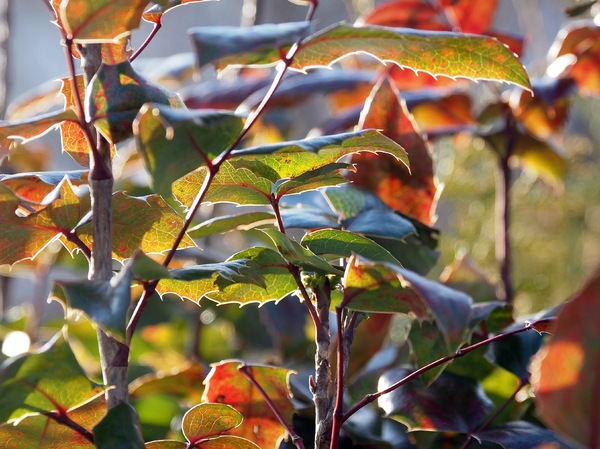 Licht und Farben...