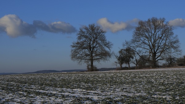 Wintermorgen 01.jpg