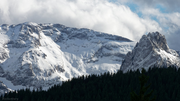 Blick von der Buchenbergalm.jpg