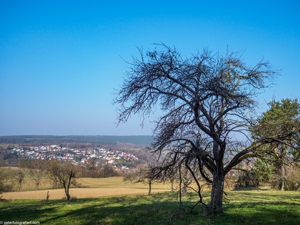 Märzsonne