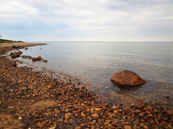 Vadum Strand - am Limfjord.jpg