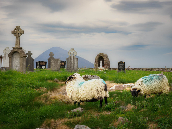 Irland alter Friedhof mit vielen Steinen, von denen jeder eine eigene meist traurige Geschichte hat.
