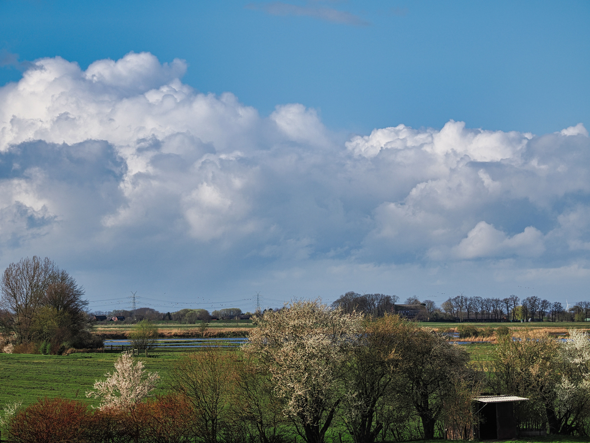 Sonnige Elbmarsch vor dem Regen