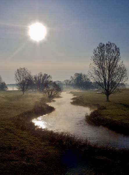 Saaleauen am Morgen